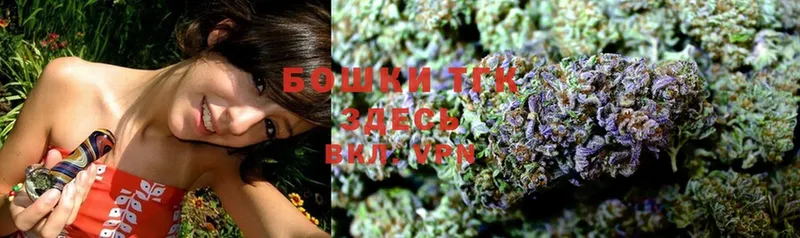 где купить   Игарка  Бошки Шишки THC 21% 